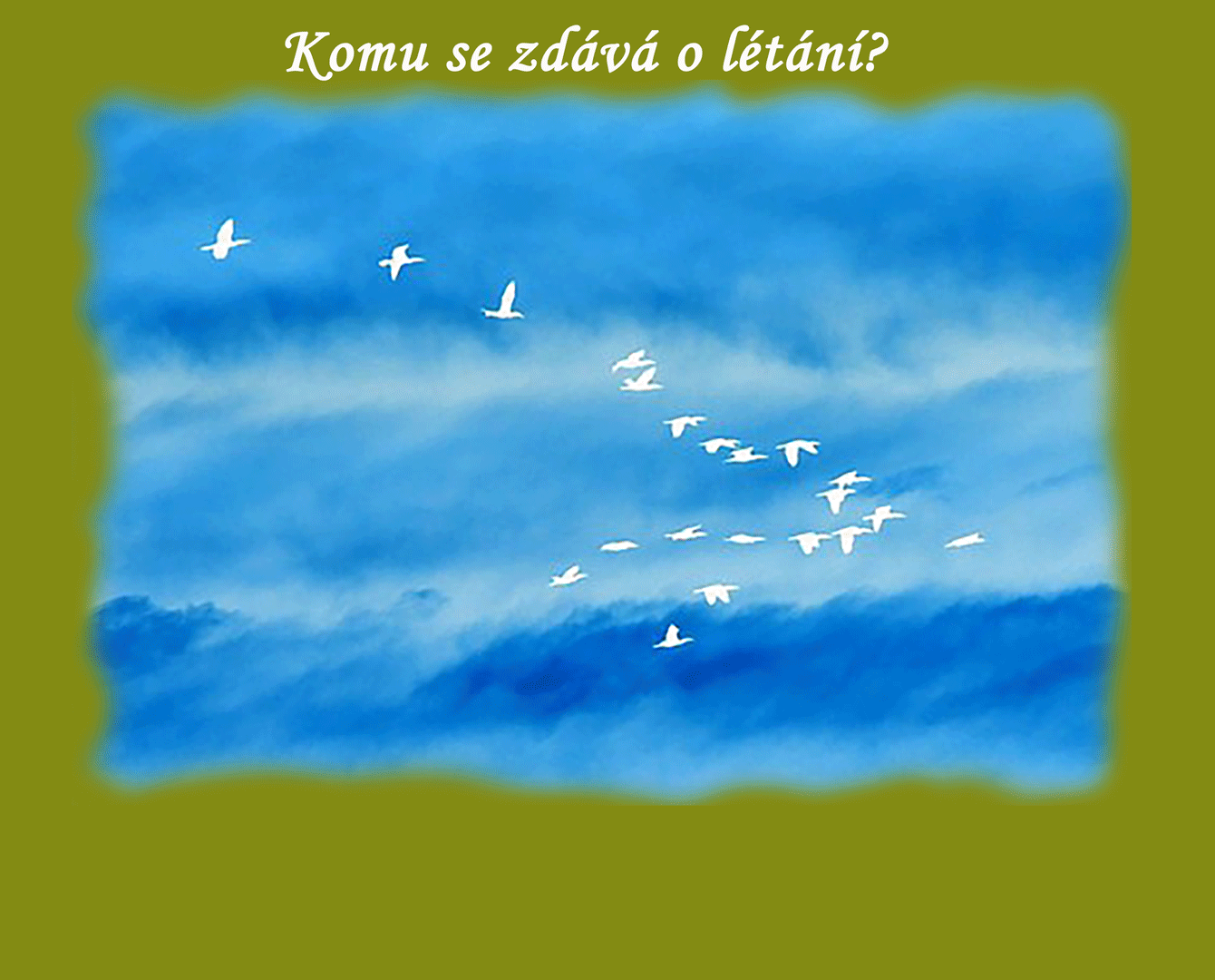 Lekce: Tanec o ptačí říši