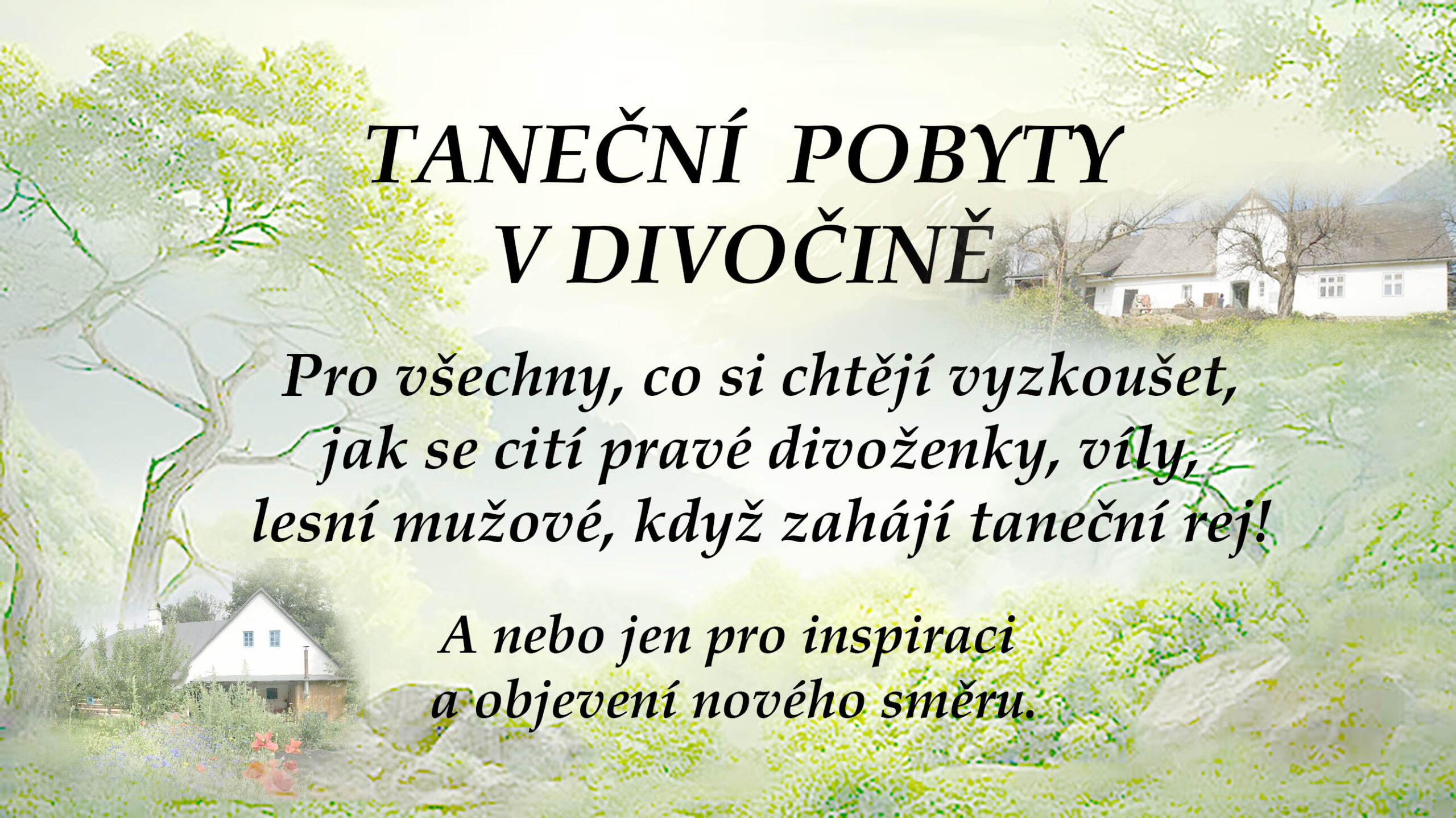 Taneční pobyty